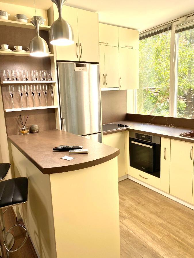 Central Apartment Plovdiv Buitenkant foto